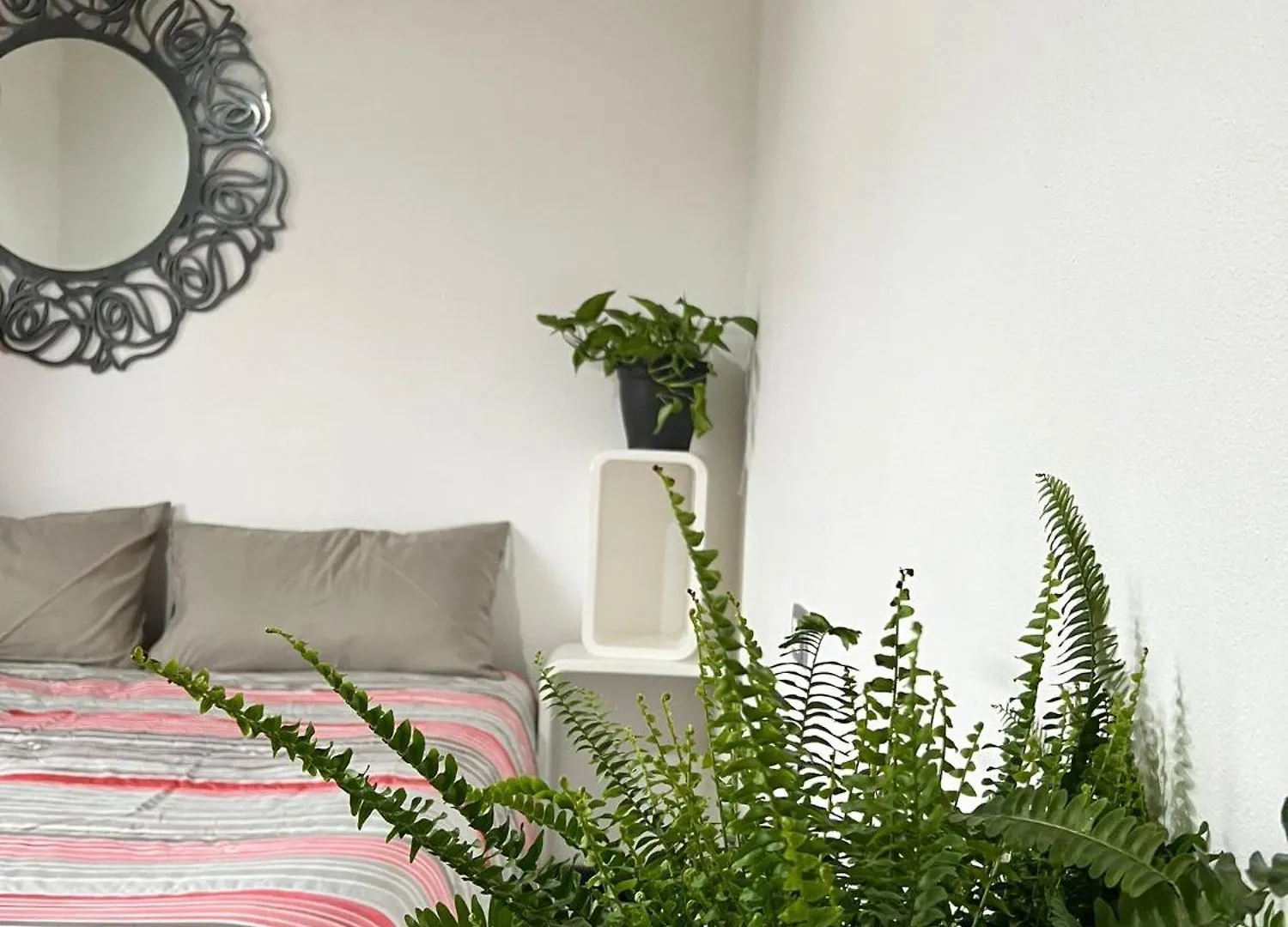 Xxxxx Apartment Cerea